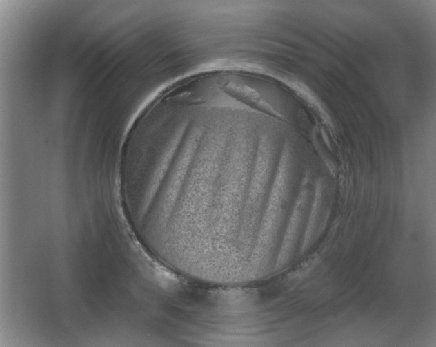 X0000068300896200604241334