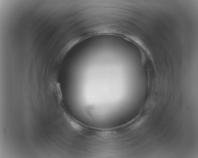 X0000068300897200604241334