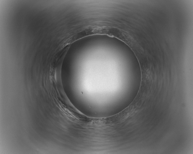X0000068300914200604241333
