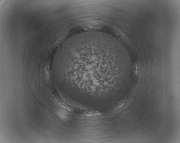 X0000068300915200604241333