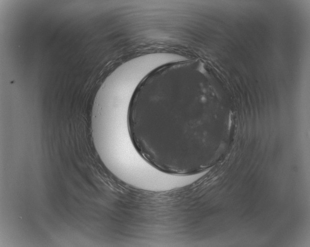 X0000068300916200604241333