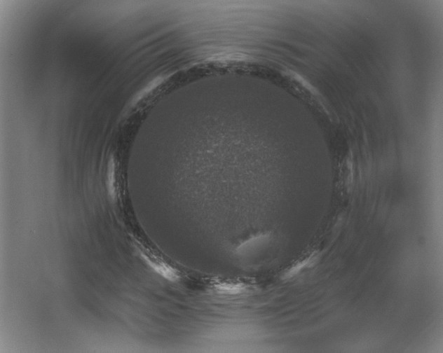 X0000068300919200604241333