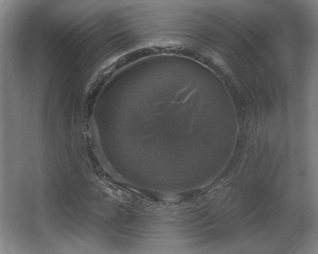 X0000068300920200604241333