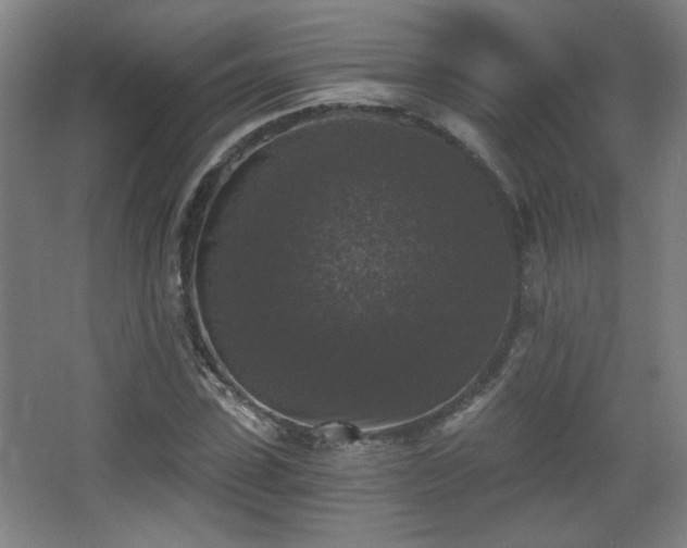 X0000068300923200604241333