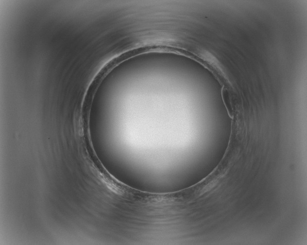 X0000068300924200604241333