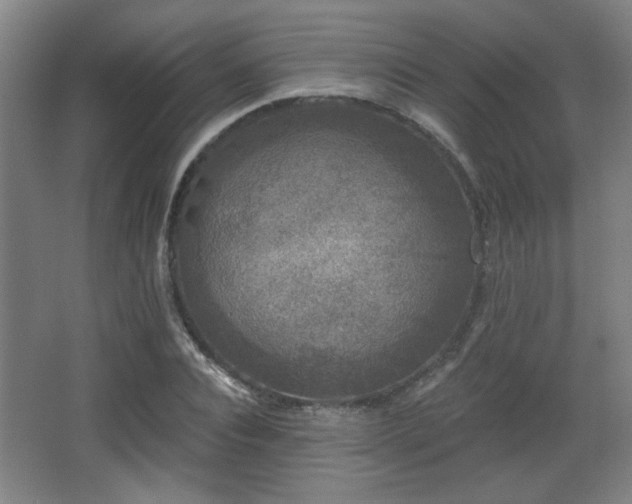 X0000068300928200604241333