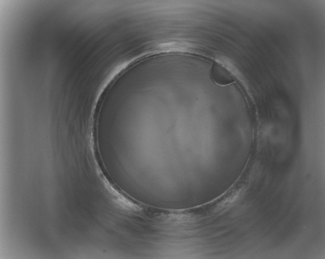 X0000068300941200604241333