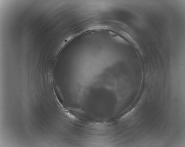X0000068300945200604241333