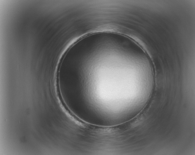 X0000068300949200604241333