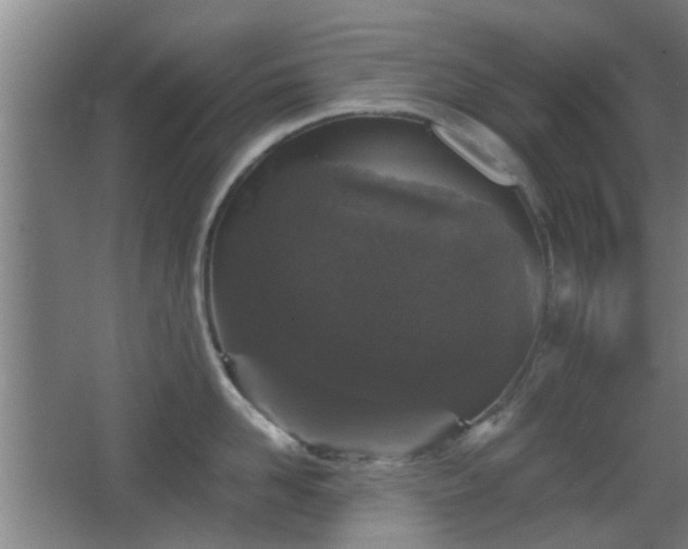 X0000068300958200604241334