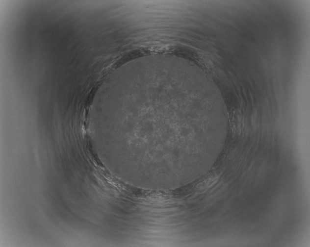 X0000068300962200604241333