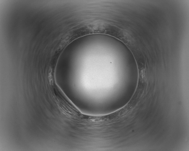 X0000068300963200604241333
