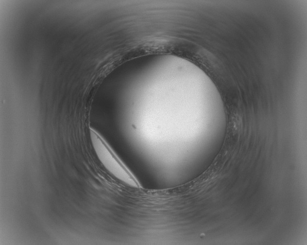 X0000068300964200604241333
