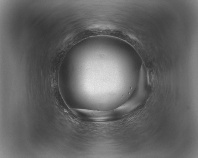 X0000068300965200604241333