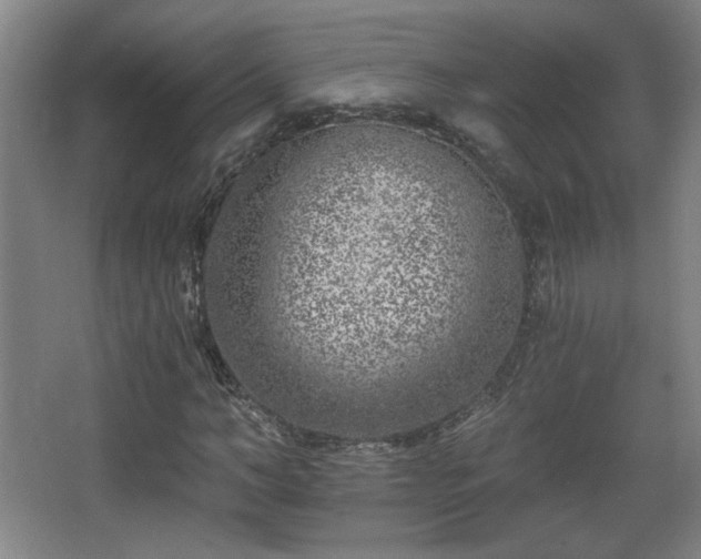 X0000068300966200604241333