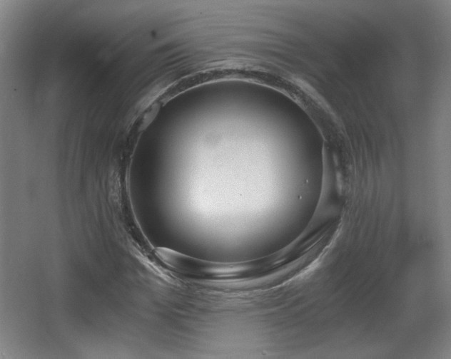 X0000068300969200604241333