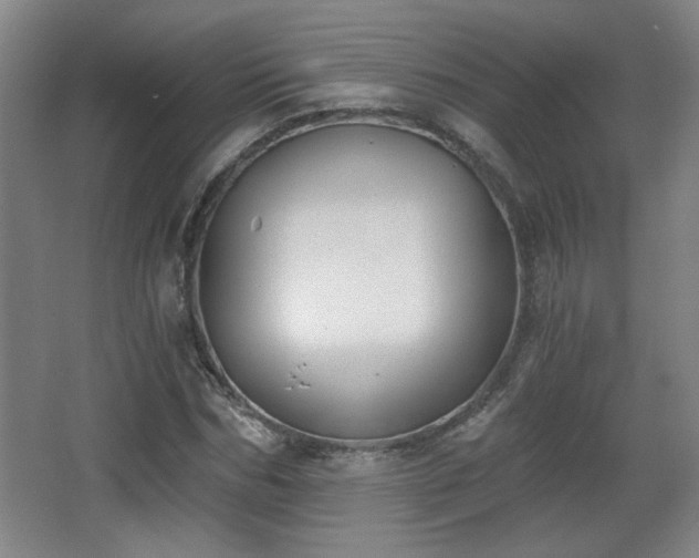 X0000068300970200604241333