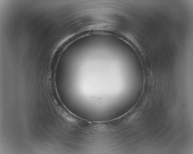 X0000068300971200604241333
