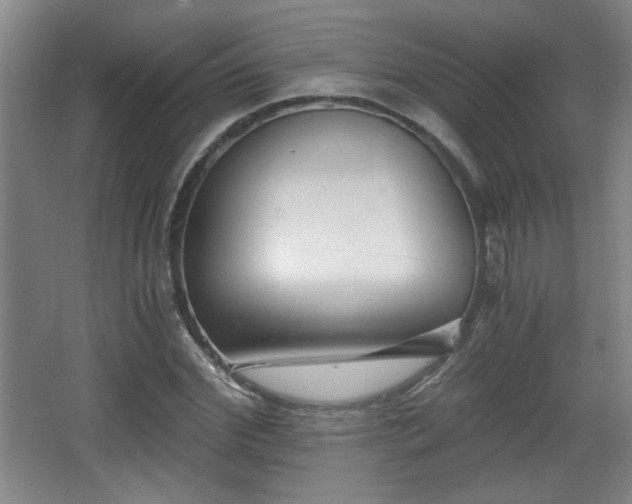 X0000068300972200604241333