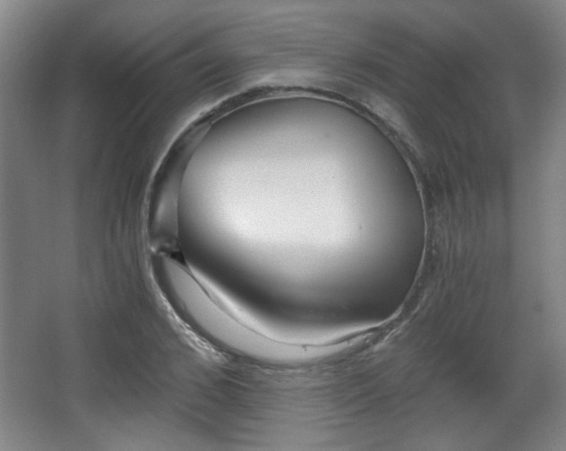 X0000068300976200604241333