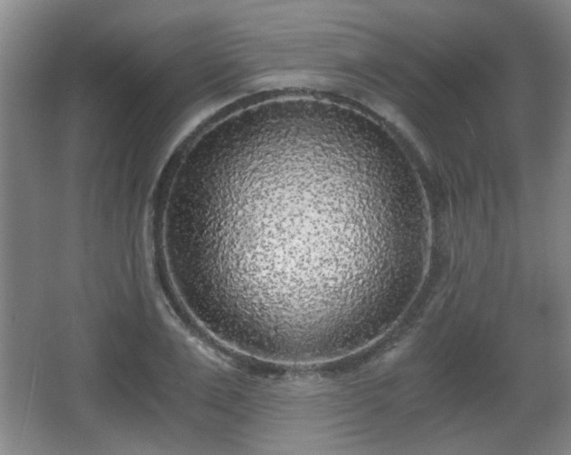 X0000068300983200604241332