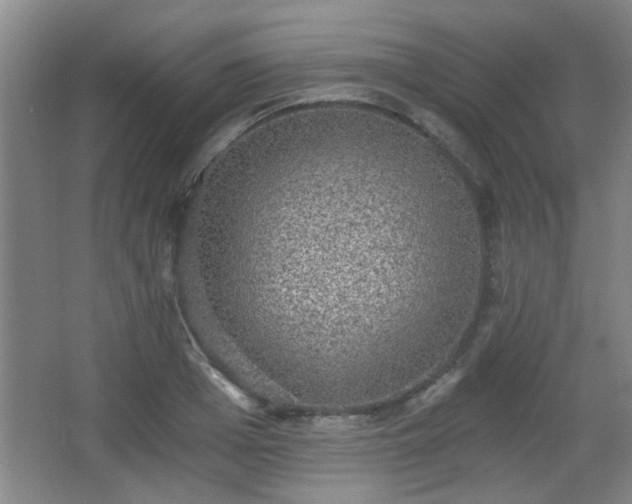 X0000068300985200604241332