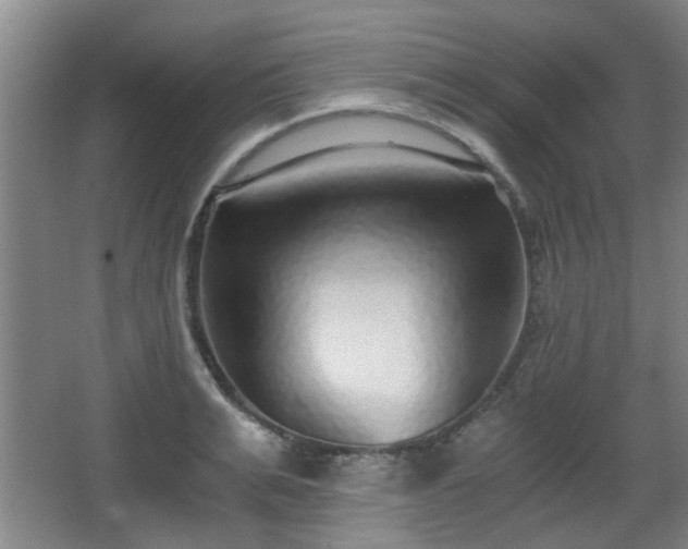 X0000068300991200604241332