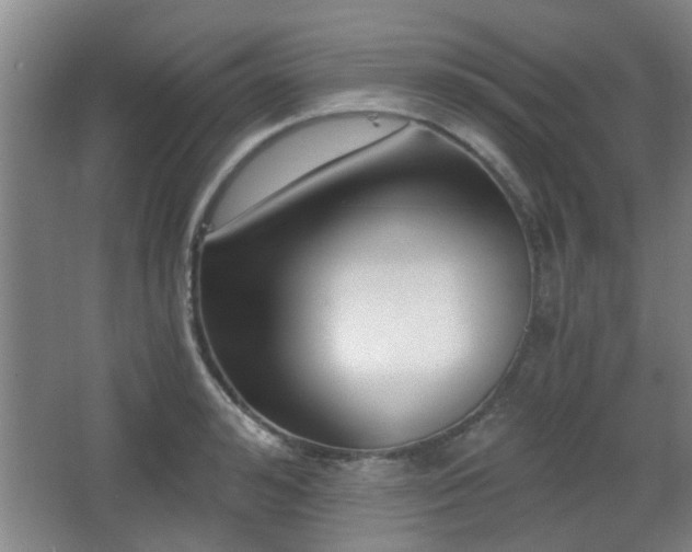 X0000068300992200604241332