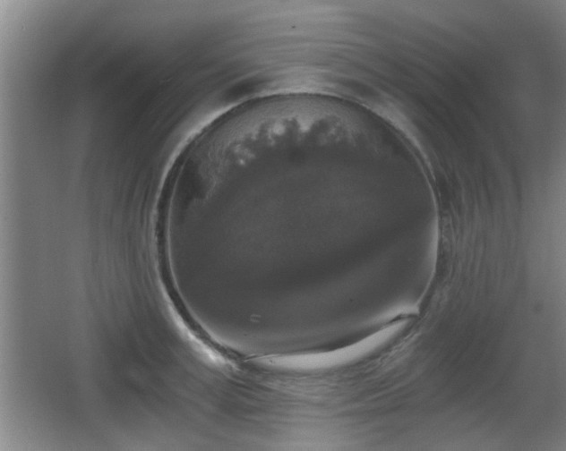 X0000068300995200604241332