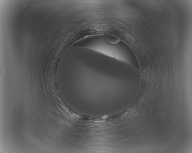 X0000068301009200604241331