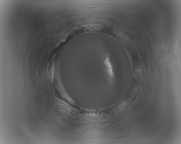 X0000068301010200604241331