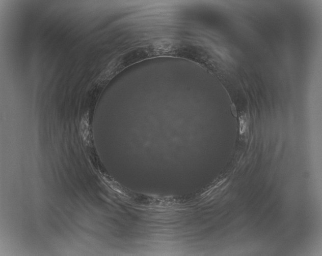 X0000068301011200604241331