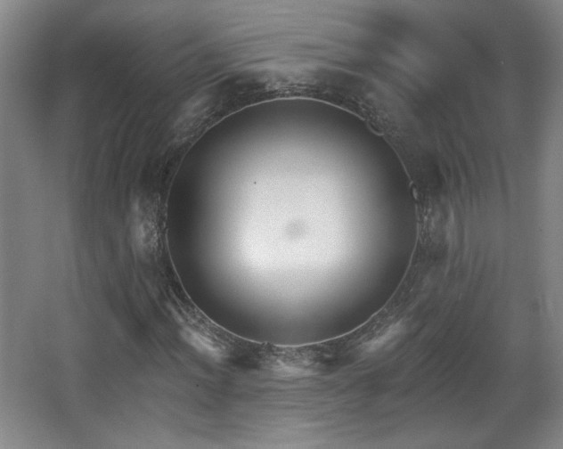 X0000068301012200604241331