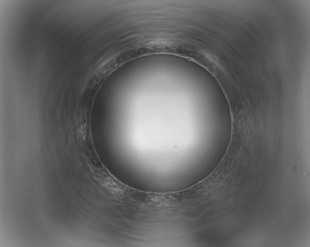 X0000068301015200604241331