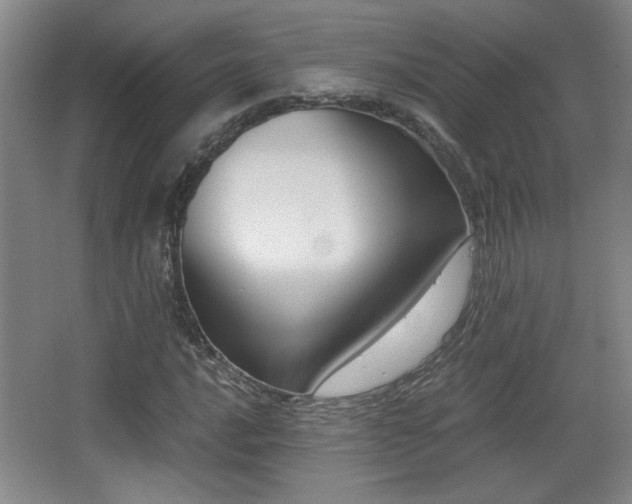 X0000068301016200604241331
