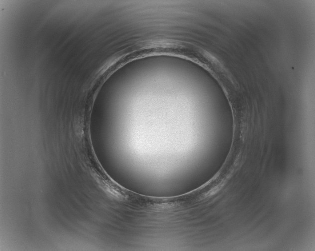 X0000068301017200604241331