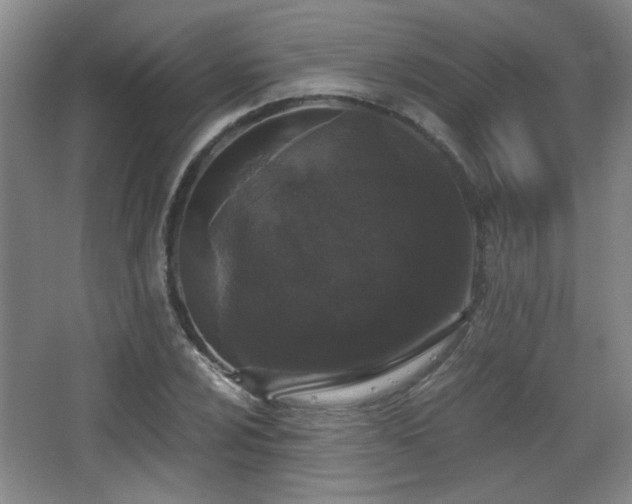X0000068301024200604241331