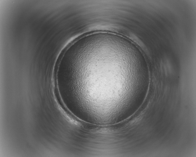 X0000068301028200604241331