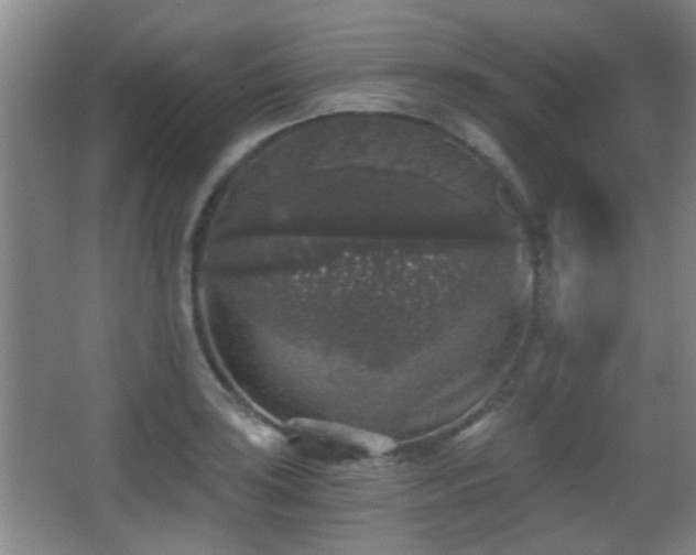 X0000068301035200604241332