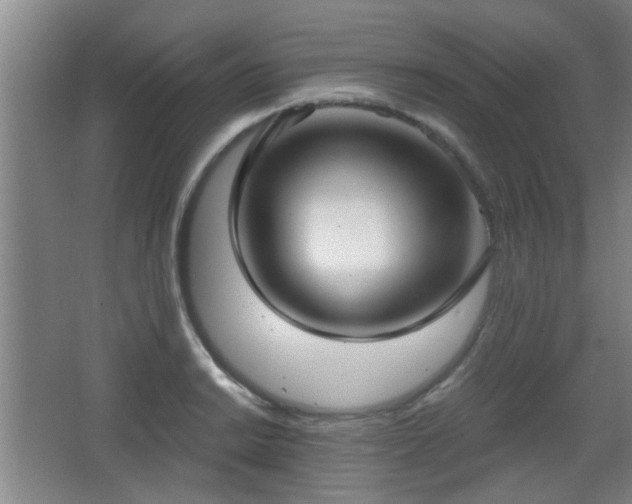 X0000068301038200604241332