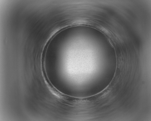 X0000068301039200604241332