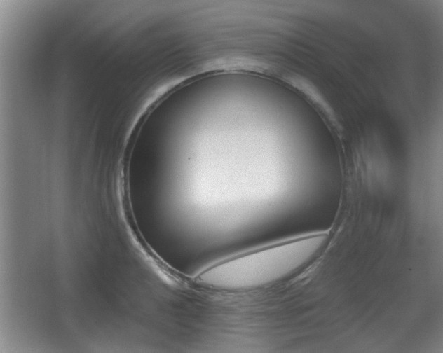 X0000068301040200604241332