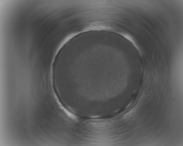 X0000068301046200604241332