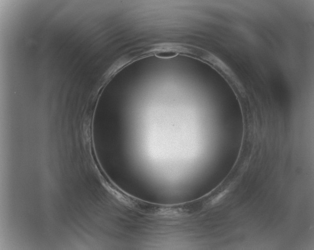 X0000068301049200604241332
