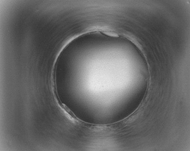 X0000068301056200604241332