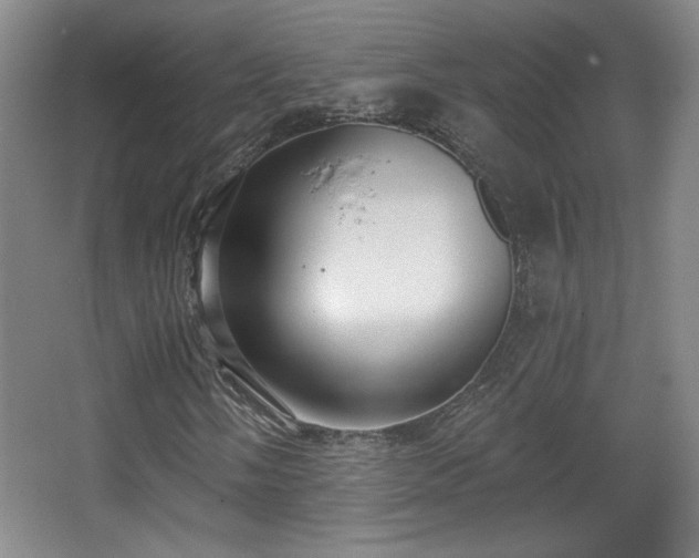 X0000068301058200604241331