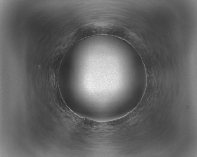 X0000068301061200604241331