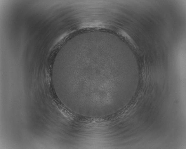 X0000068301064200604241331