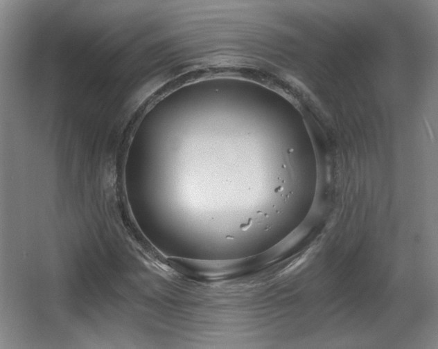 X0000068301065200604241331