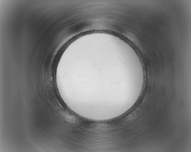 X0000068301070200604241331